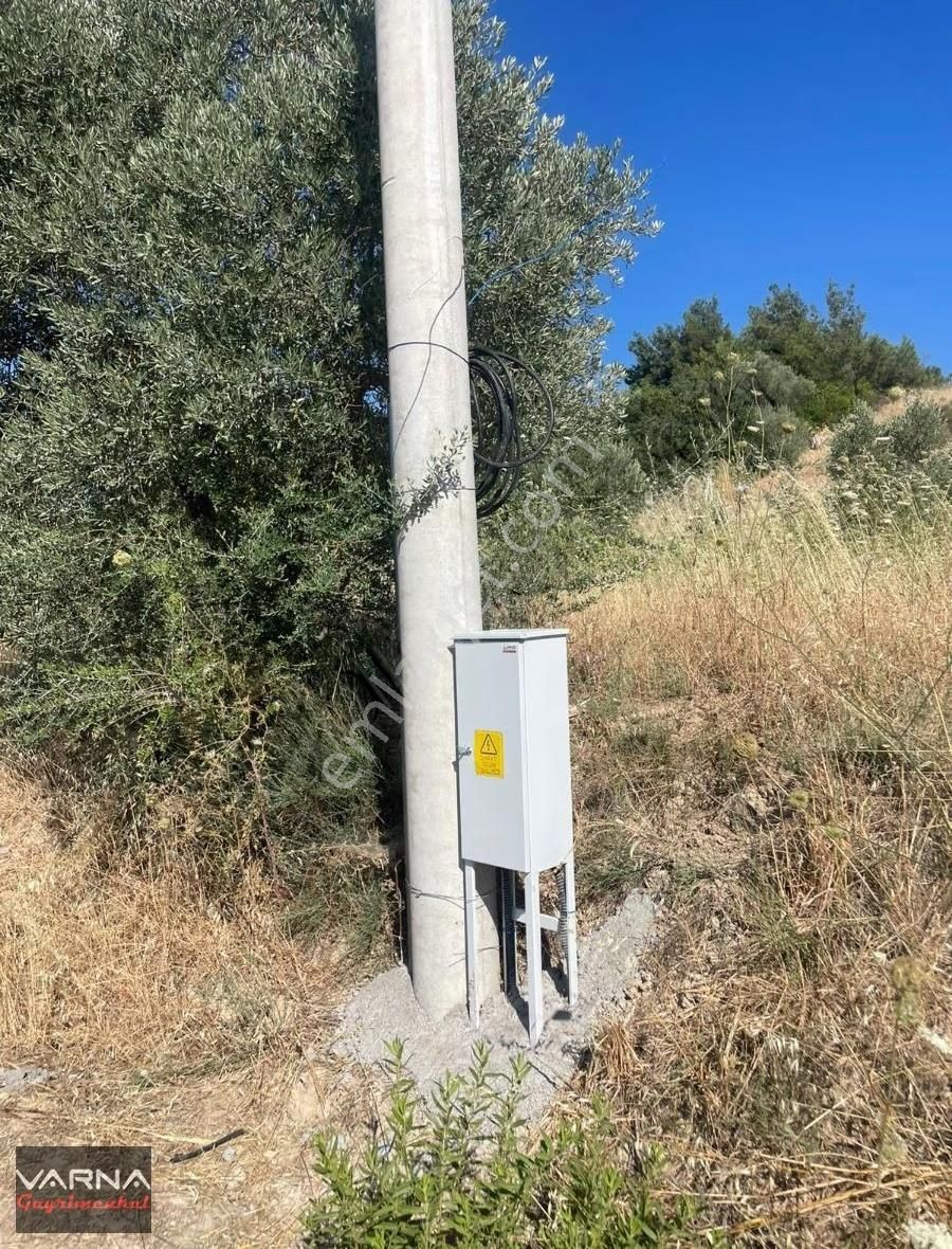 İzmir Menderes Çatalca Da 271m2 Harika Bir Bahçe - Görsel 19