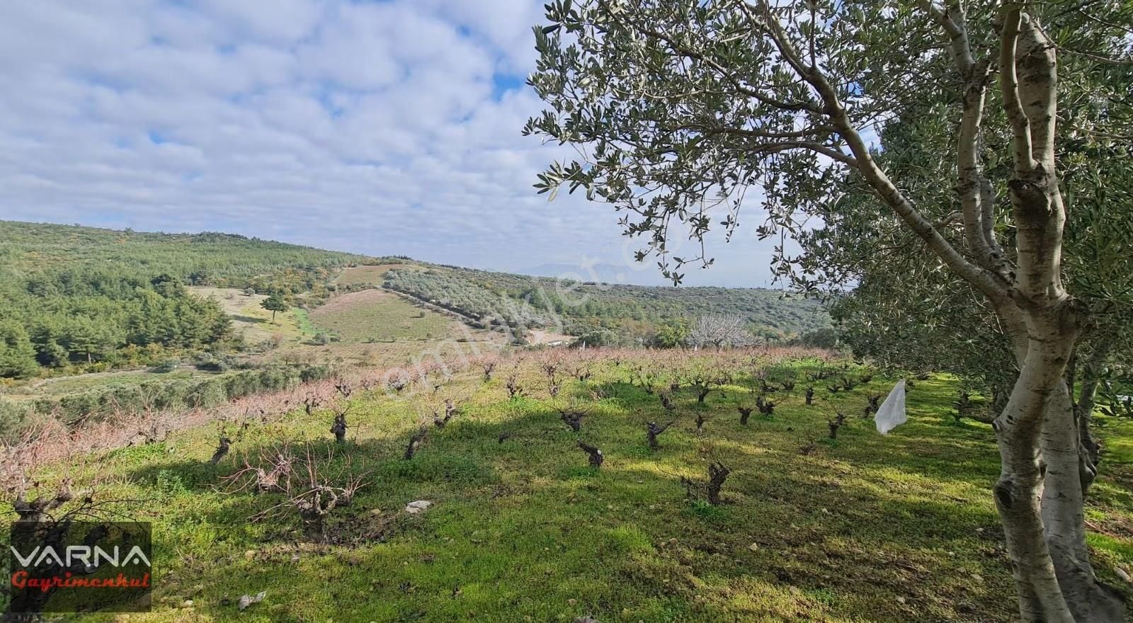 İzmir Menderes Çatalca Da 271m2 Harika Bir Bahçe - Görsel 24