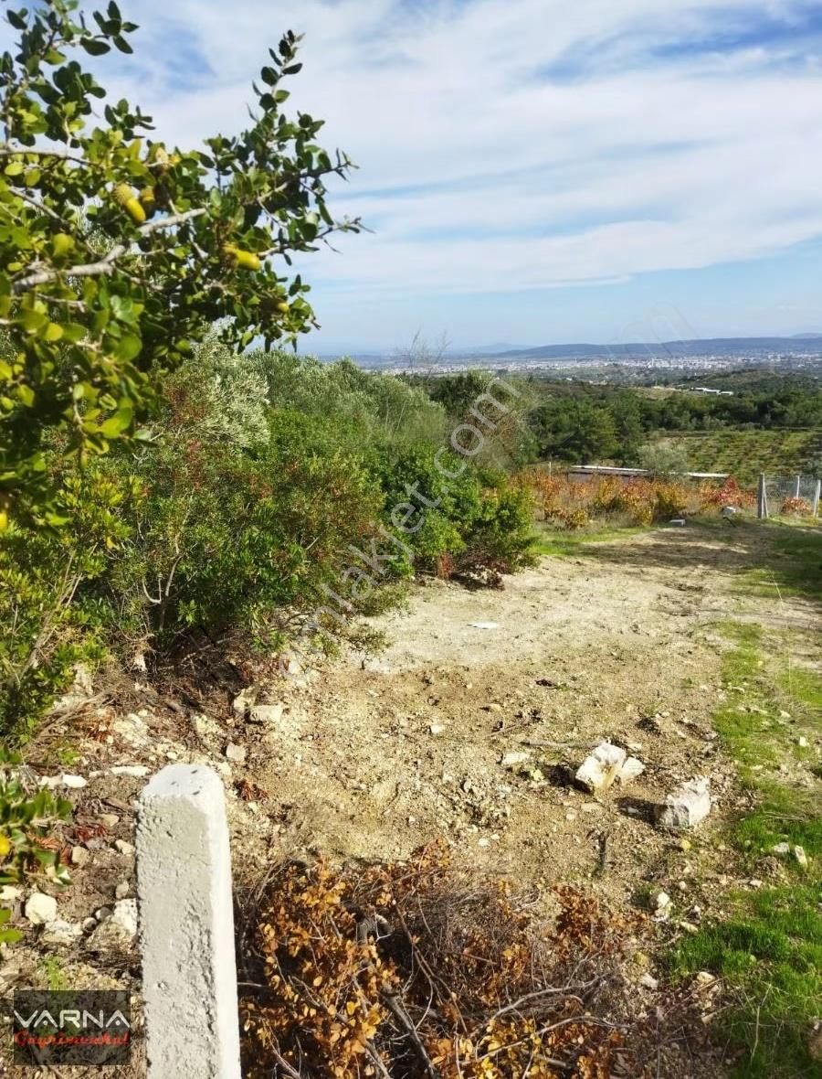 İzmir Menderes Çatalca Da 271m2 Harika Bir Bahçe - Görsel 8