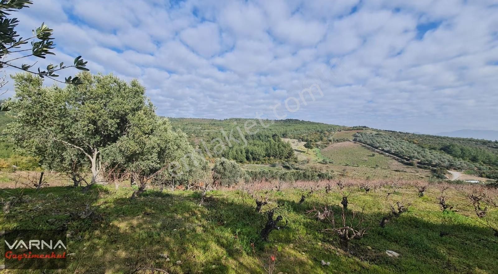 İzmir Menderes Çatalca Da 271m2 Harika Bir Bahçe - Görsel 14