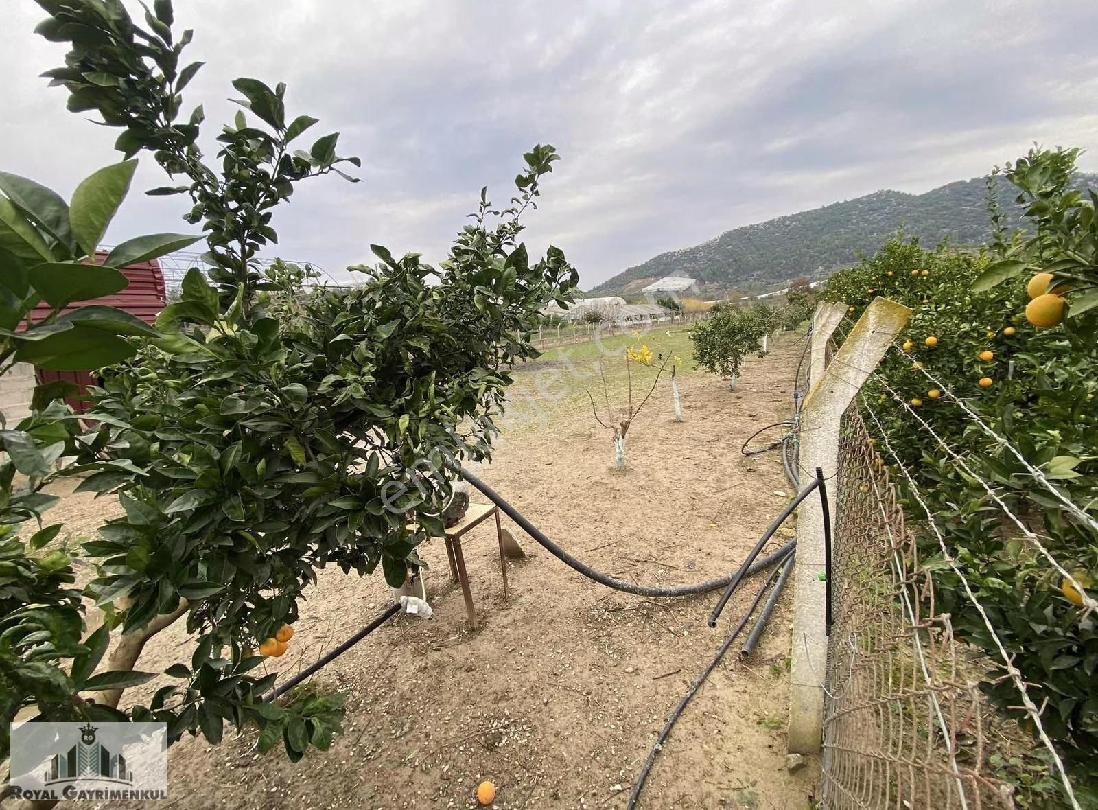 Manavgat Yalçıdibi'nde Tek Tapu Satılık Tarla Ve 3+1 Ev - Görsel 2