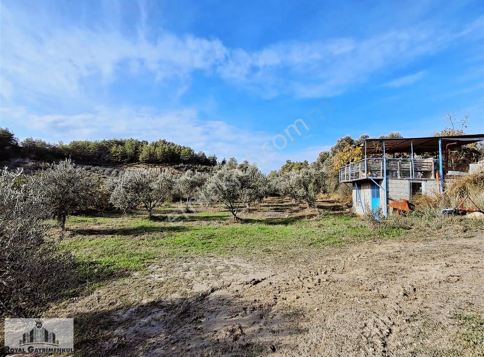 Manavgat Yalçıdibi'nde Tek Tapu Satılık Tarla