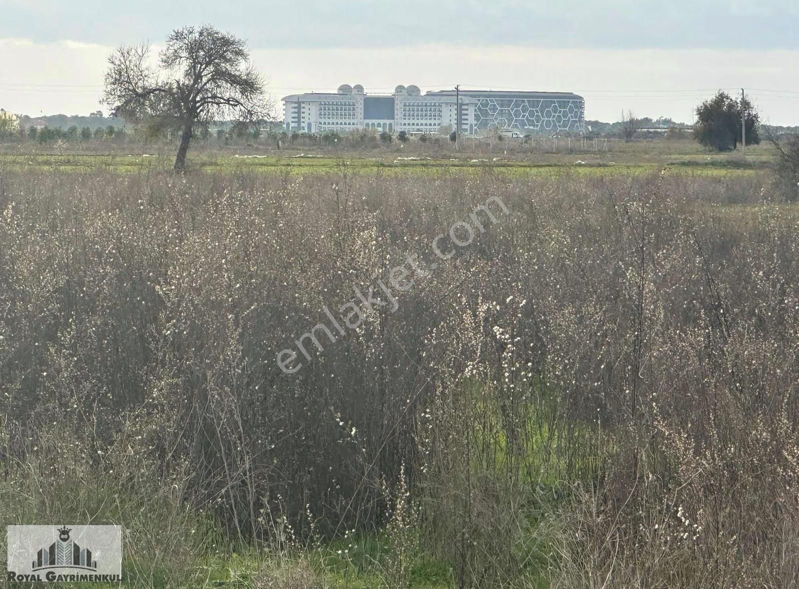 Karaöz De Satılık Tarla - Görsel 4