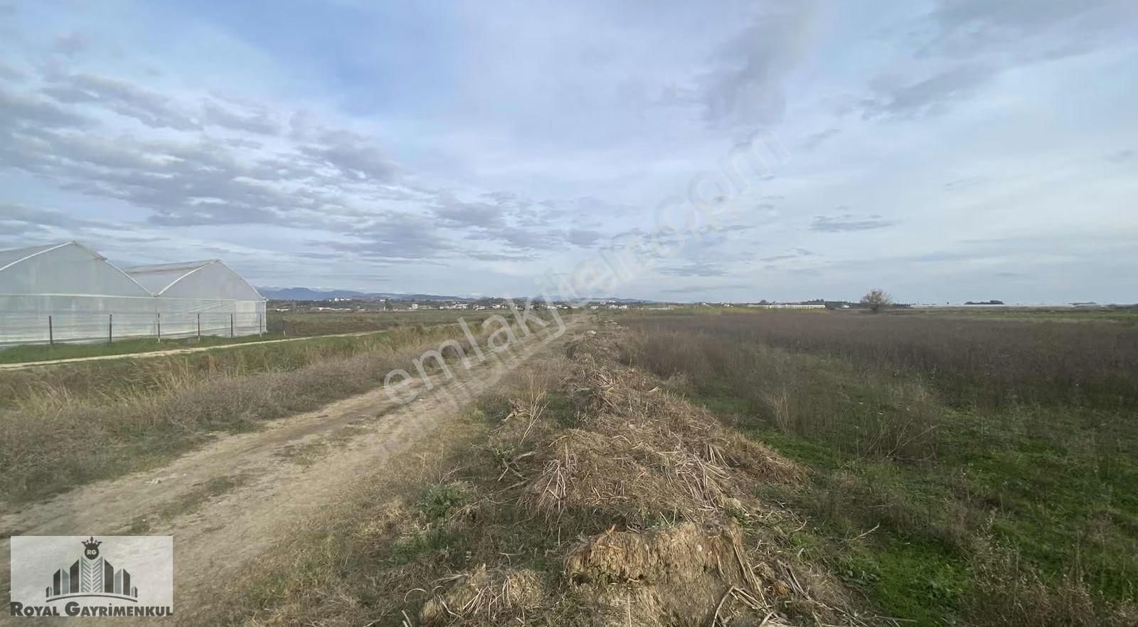 Karaöz De Satılık Tarla - Görsel 7