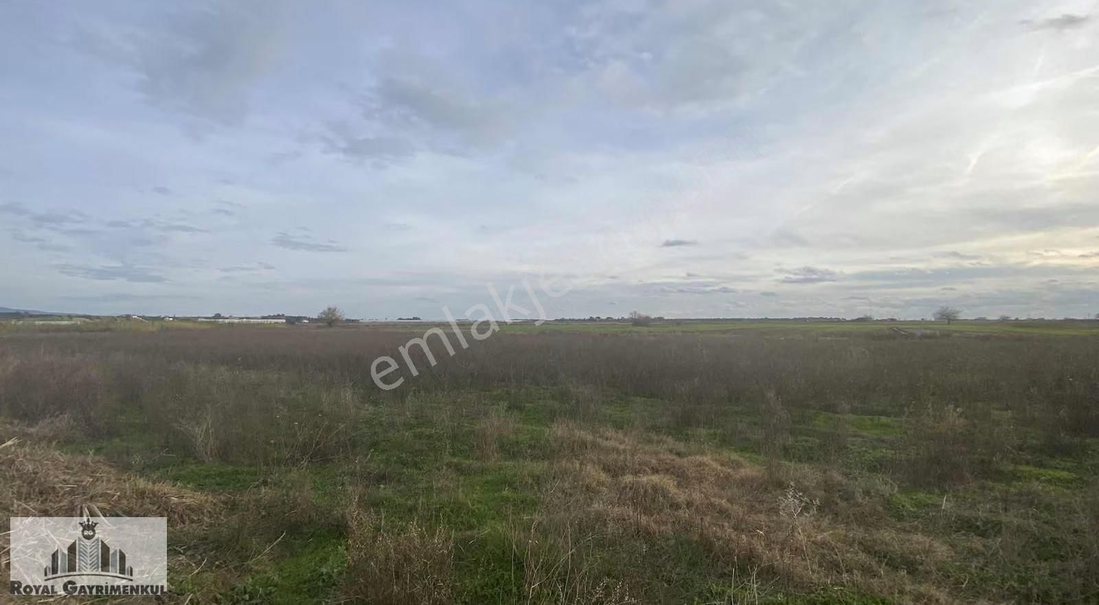 Karaöz De Satılık Tarla