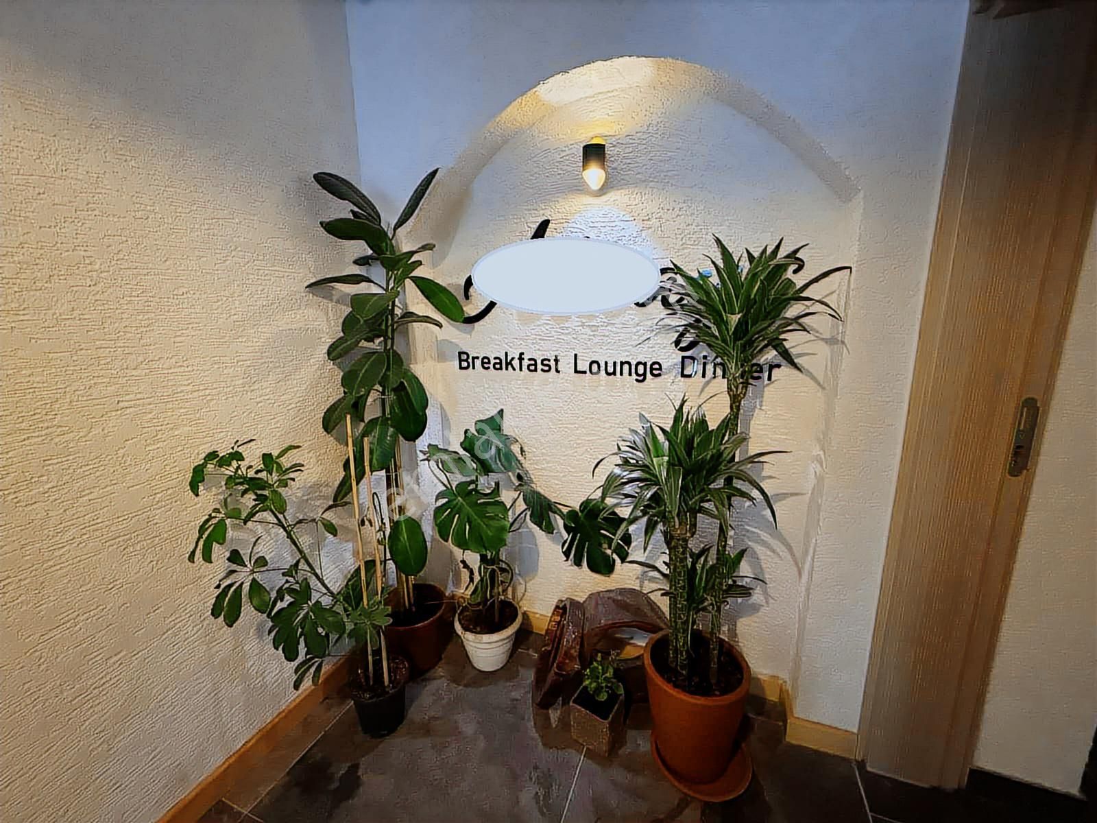 Sapanca İşletmelerin Olduğu Cadde Harika İş Fırsatı Restoran - Görsel 10