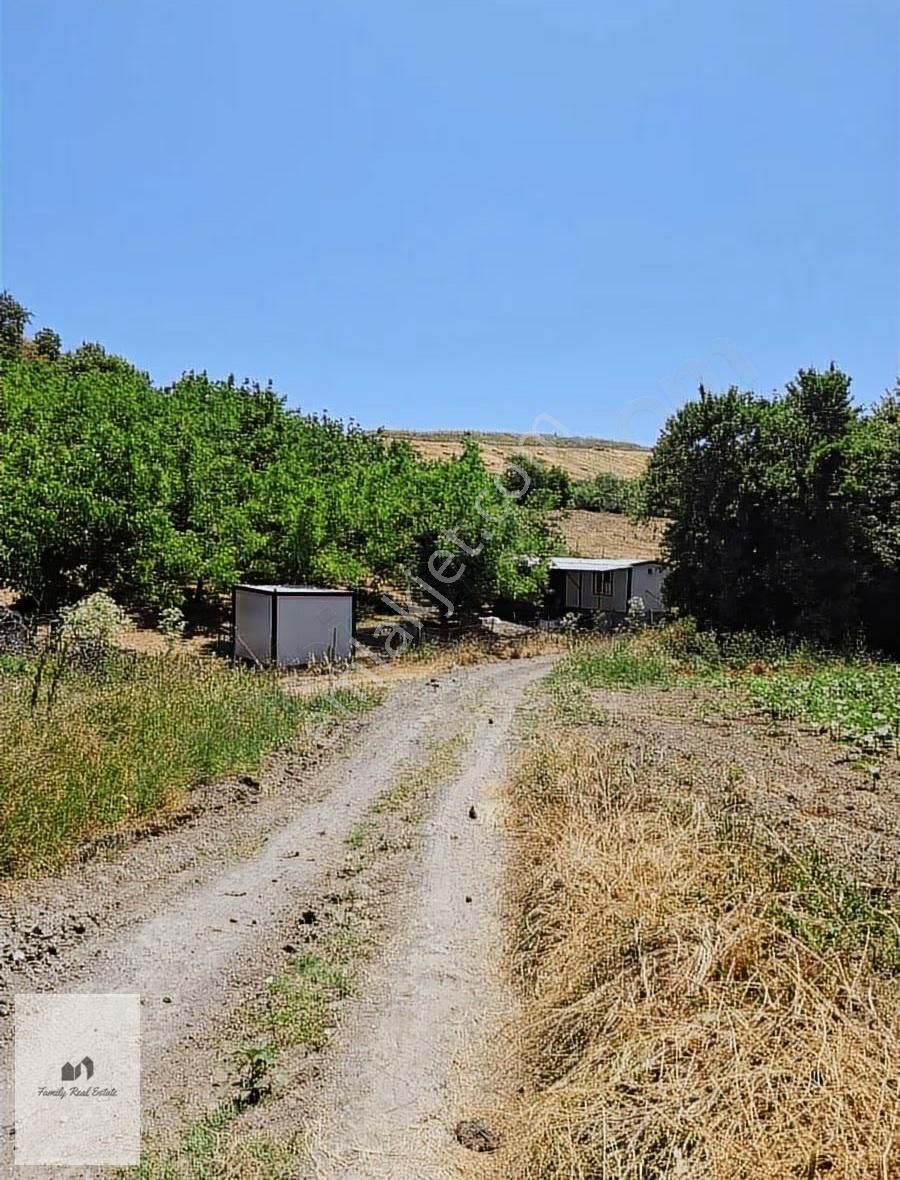 Bursa Yenişehir Süleymaniye Köyünde Satılık 5 Dönüm Bahçe - Görsel 8