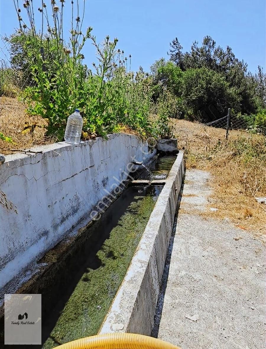 Bursa Yenişehir Süleymaniye Köyünde Satılık 5 Dönüm Bahçe - Görsel 7