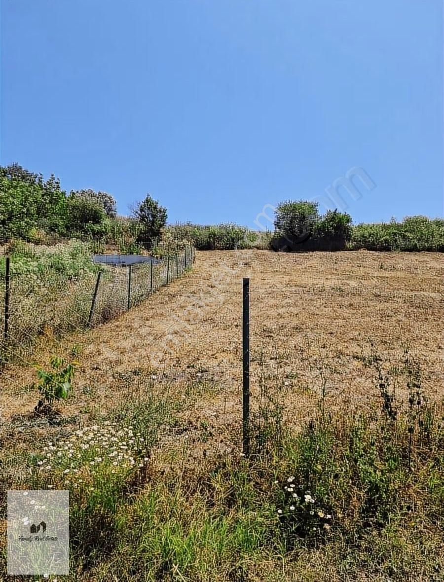 Bursa Yenişehir Süleymaniye Köyünde Satılık 5 Dönüm Bahçe - Görsel 12