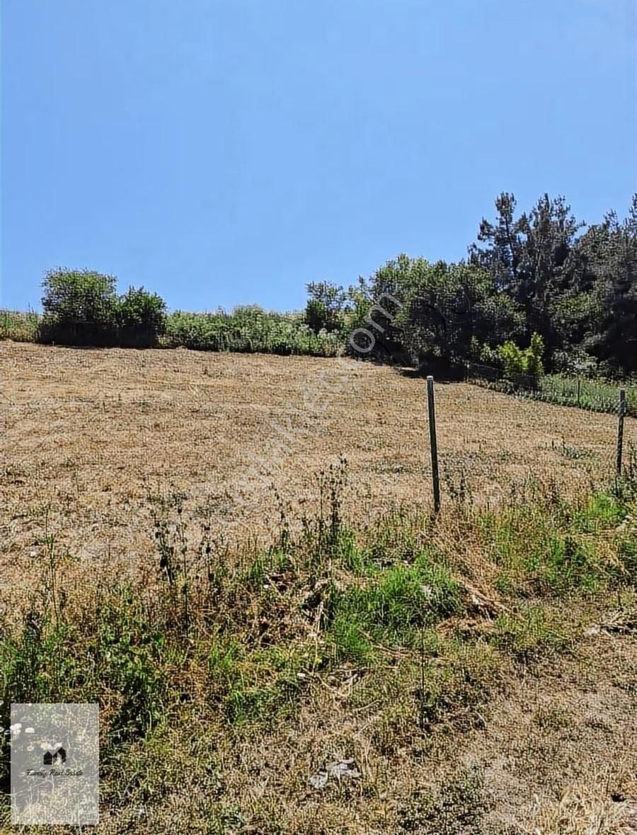 Bursa Yenişehir Süleymaniye Köyünde Satılık 5 Dönüm Bahçe - Görsel 16