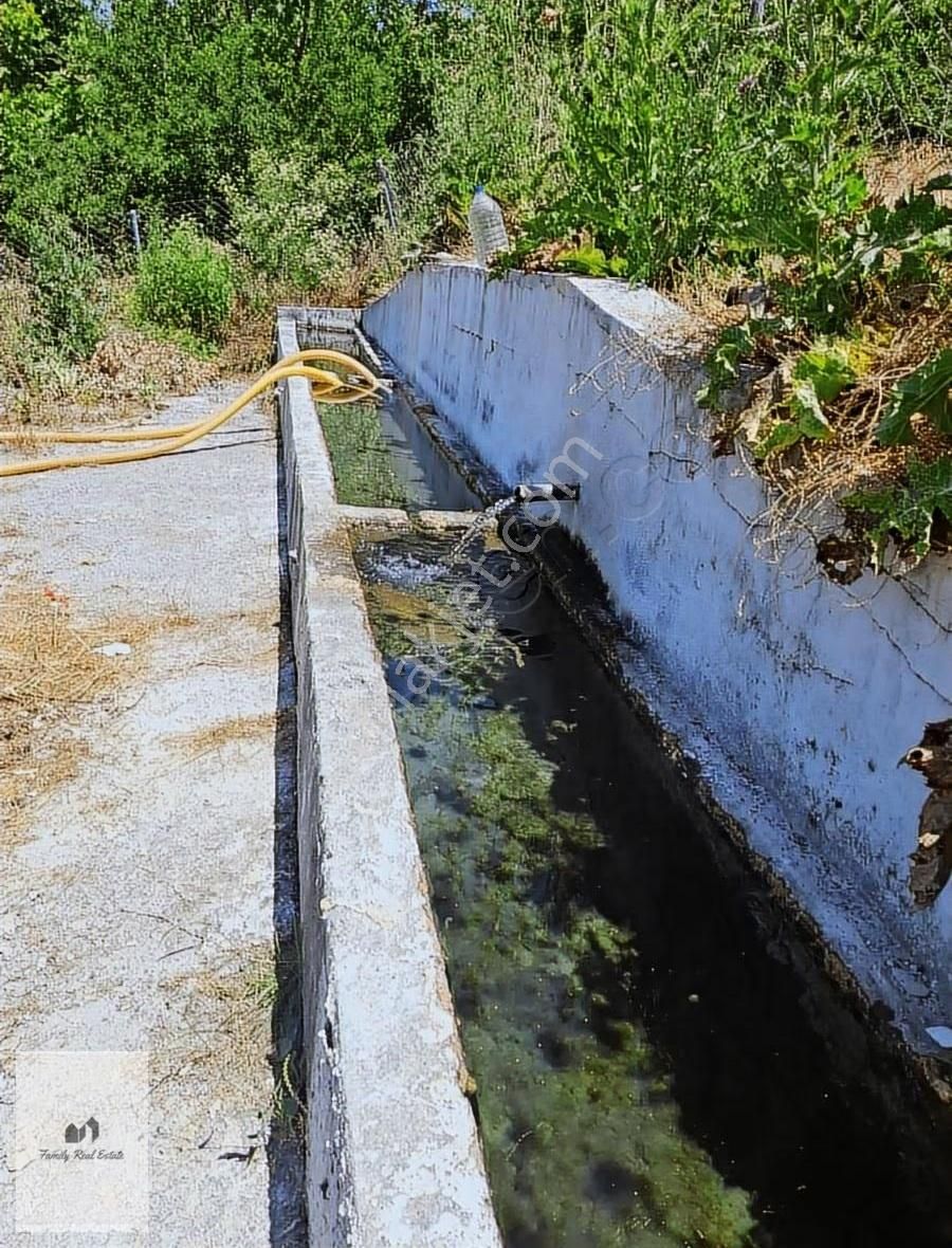 Bursa Yenişehir Süleymaniye Köyünde Satılık 5 Dönüm Bahçe - Görsel 10