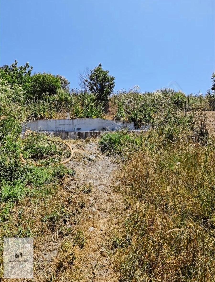 Bursa Yenişehir Süleymaniye Köyünde Satılık 5 Dönüm Bahçe - Görsel 5