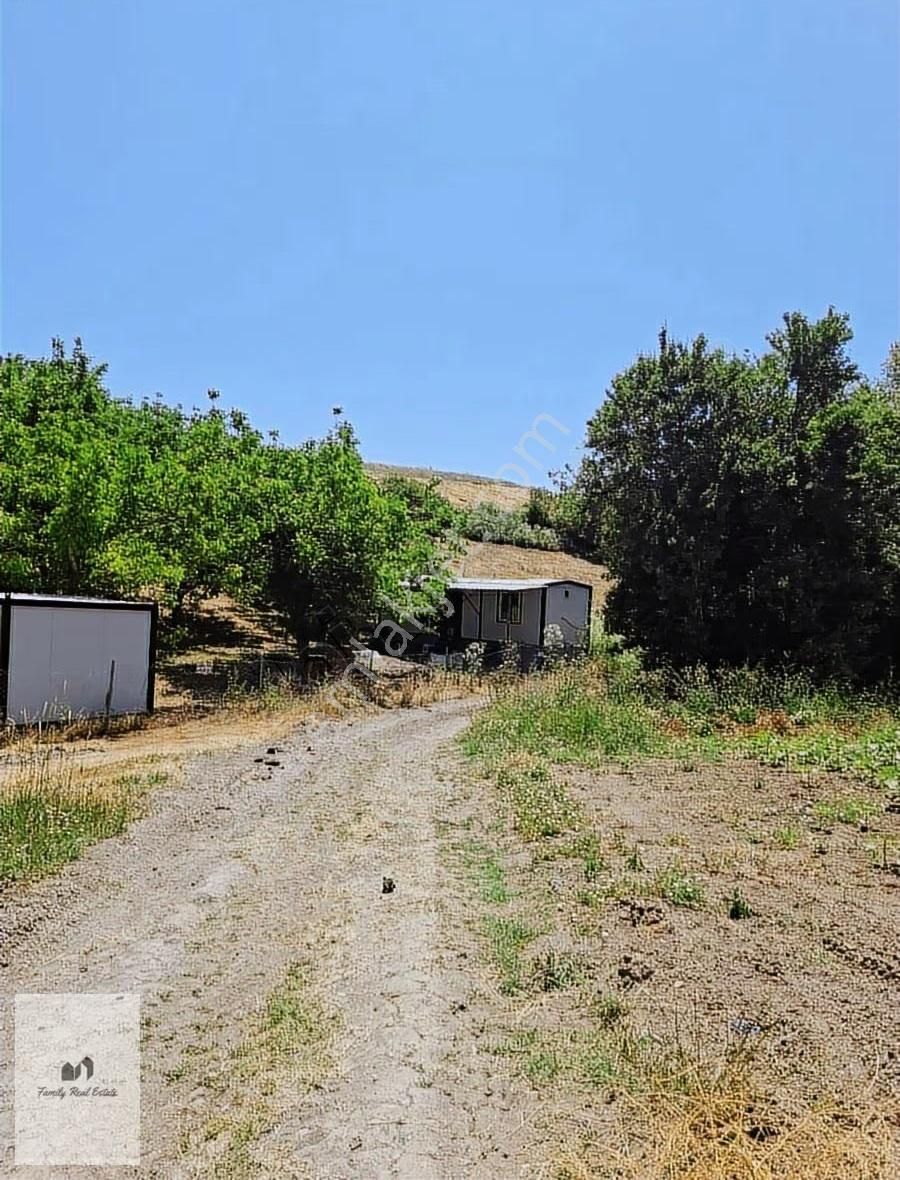 Bursa Yenişehir Süleymaniye Köyünde Satılık 5 Dönüm Bahçe - Görsel 9