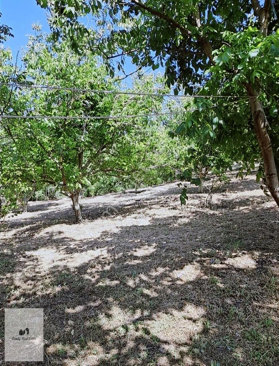 Bursa Yenişehir Süleymaniye Köyünde Satılık 5 Dönüm Bahçe - Görsel 4