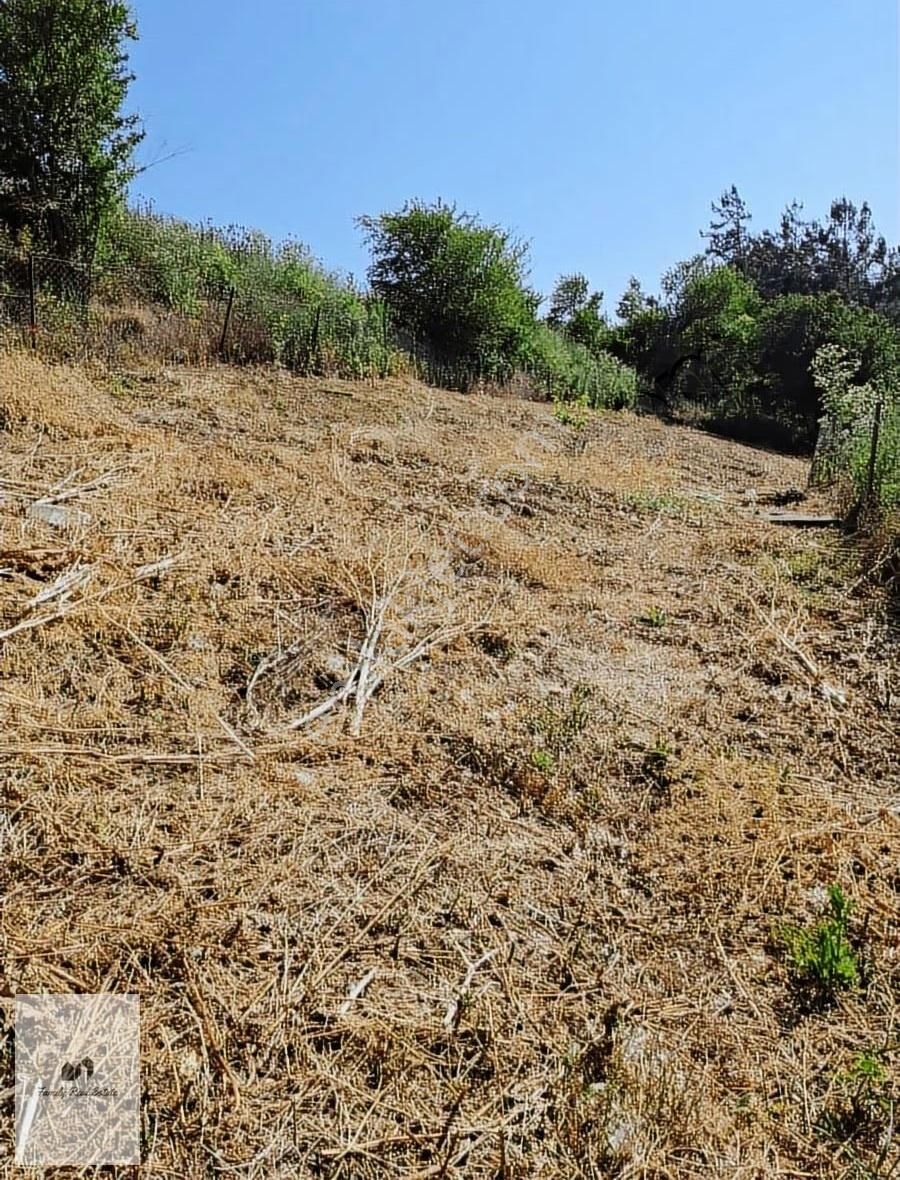 Bursa Yenişehir Süleymaniye Köyünde Satılık 5 Dönüm Bahçe - Görsel 18