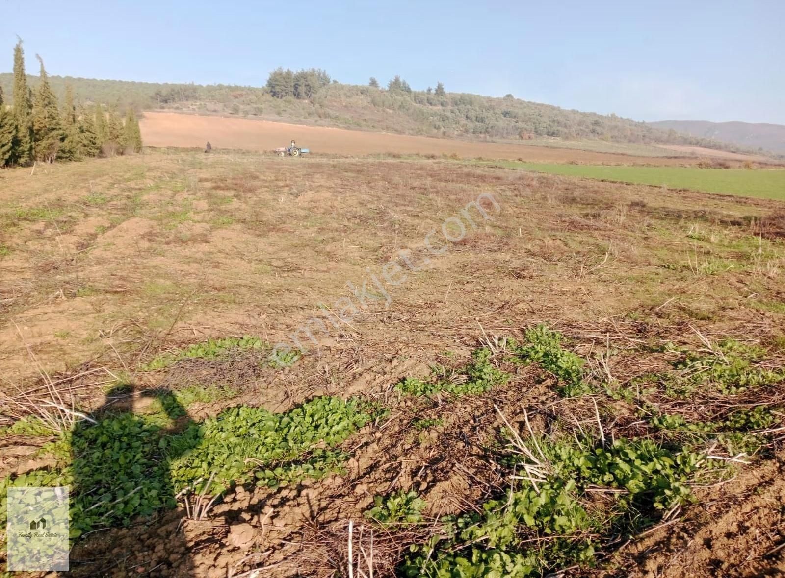 Bursa Yenişehir Kavaklı Köyünde Satılık Tarla - Görsel 2