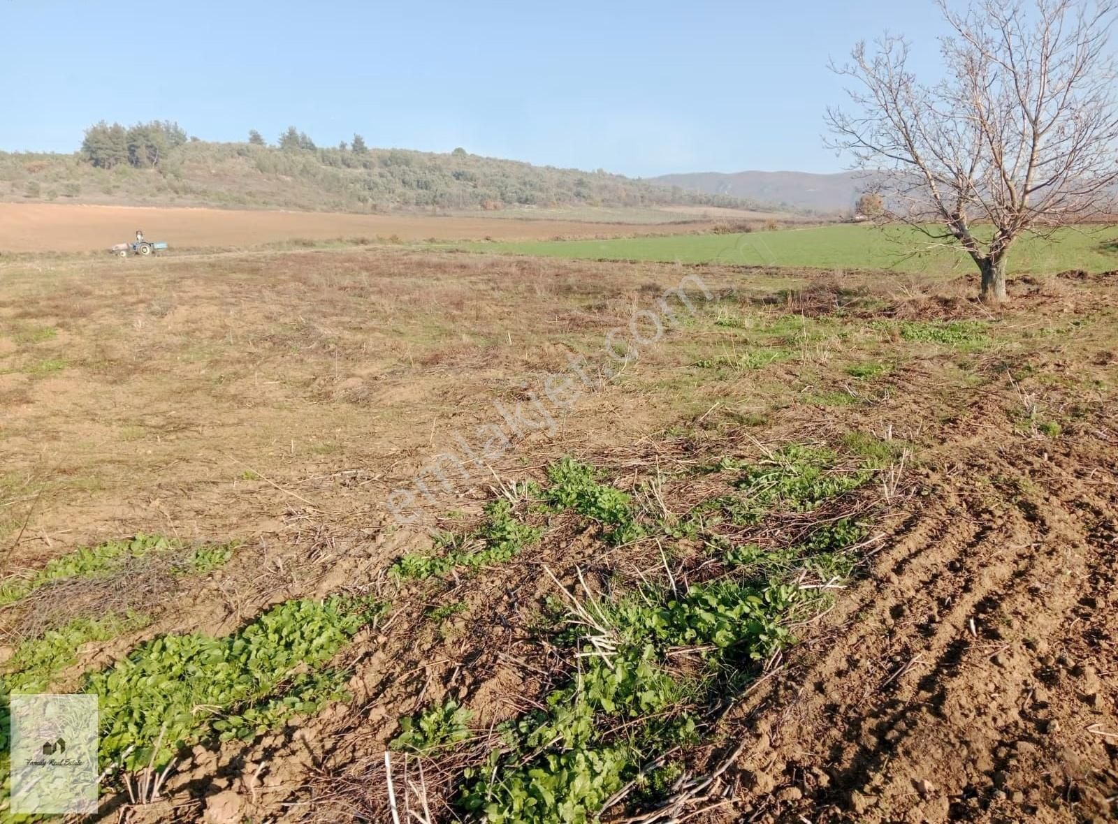 Bursa Yenişehir Kavaklı Köyünde Satılık Tarla - Görsel 4