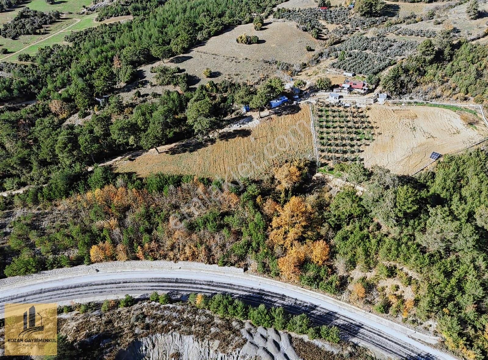 Kozan Gayrimenkul'den 5000 M2 Düzağaç Ta Cazip Fiyatlı Arsa - Görsel 6