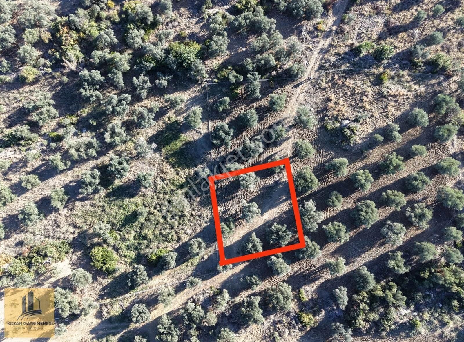 Kozan Gayrimenkulden Ağlıboğaz Da 508 M2 Arsa - Görsel 6