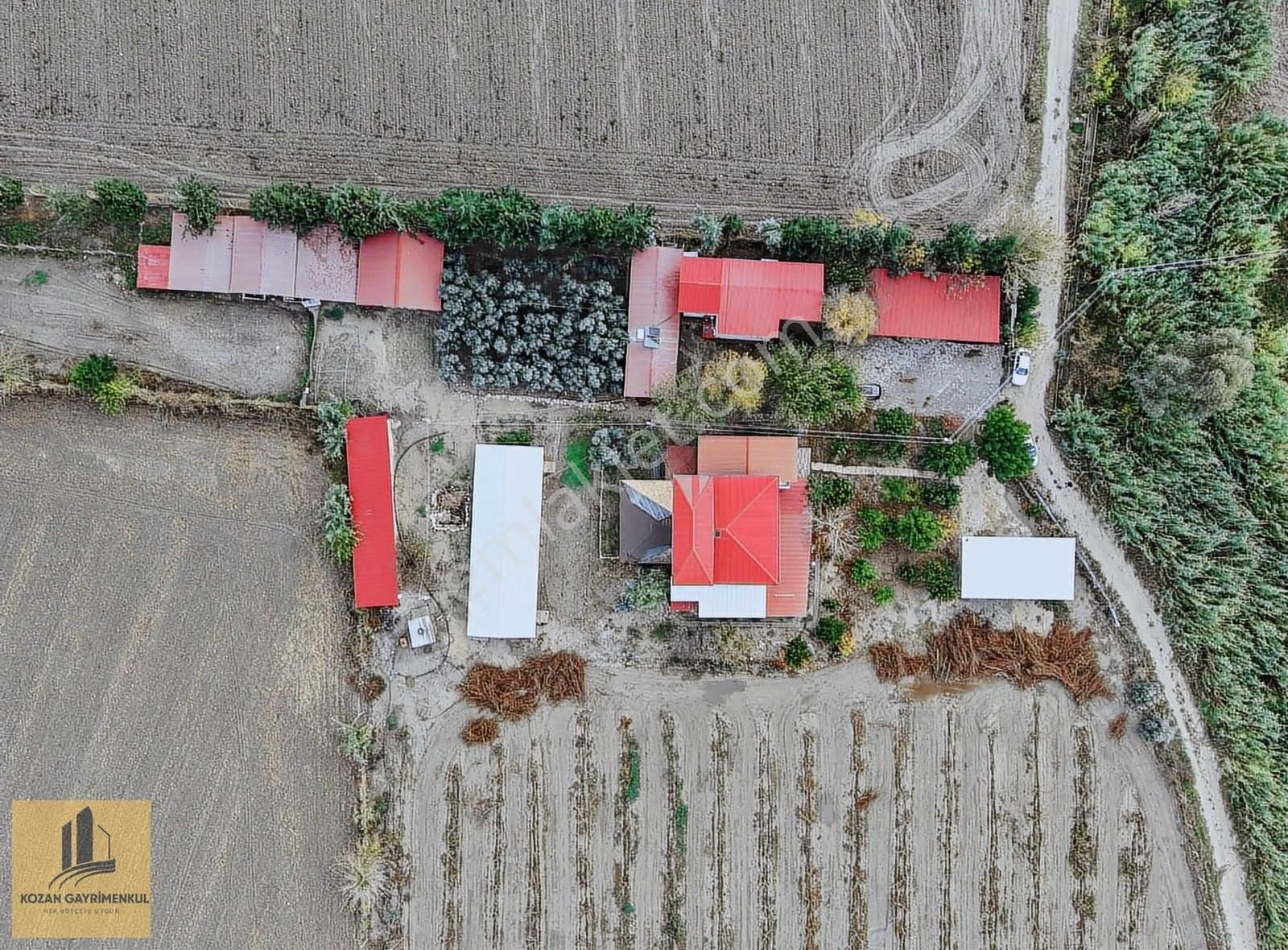 Kozan Gayrimenkul'den Anavarza 24 Dönüm Villalı Şeftali Bahçesi - Görsel 31