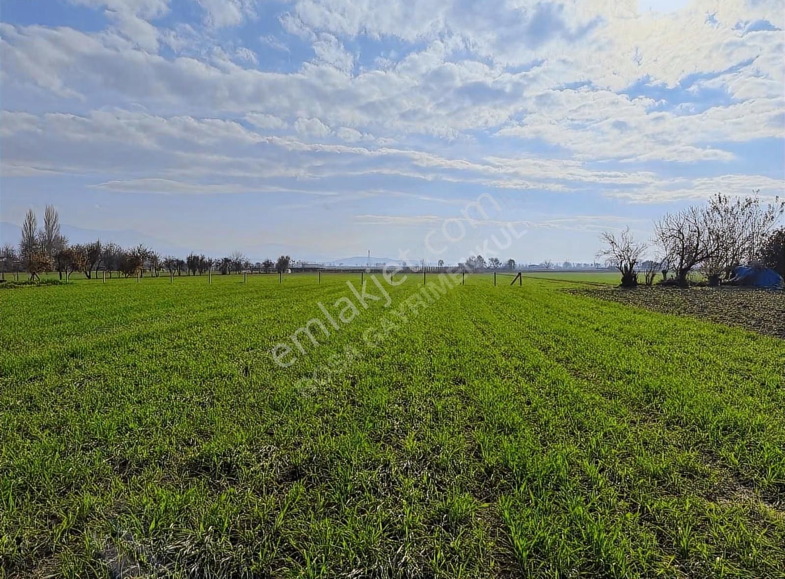 Rosa Gayrimenkul' Den 11.462 M² Satılık Köyiçi Tarla - Görsel 8