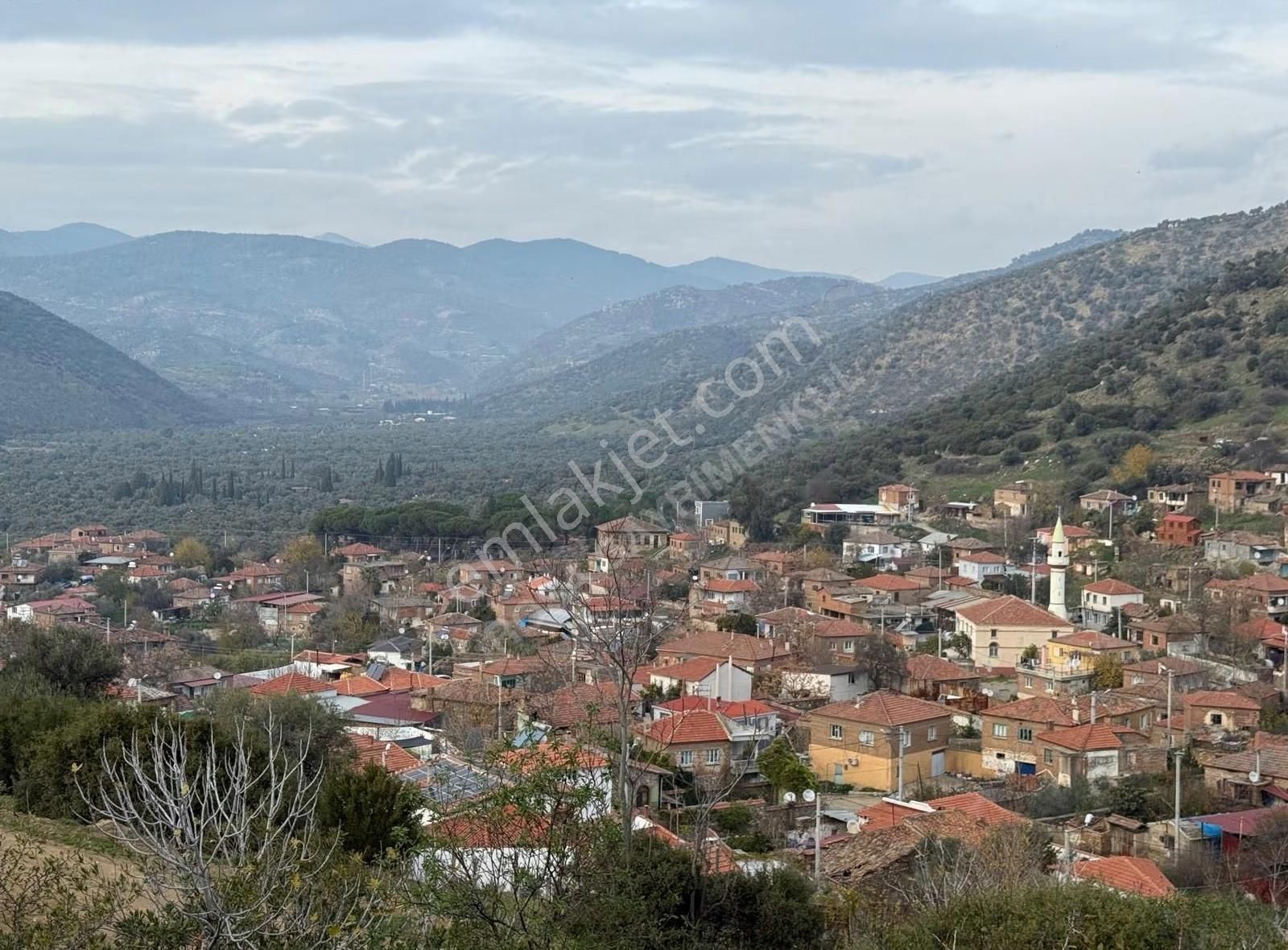 Rosa Gayrimenkul'den 3.881 M² Yusuflu' Da Satılık Zeytinlik