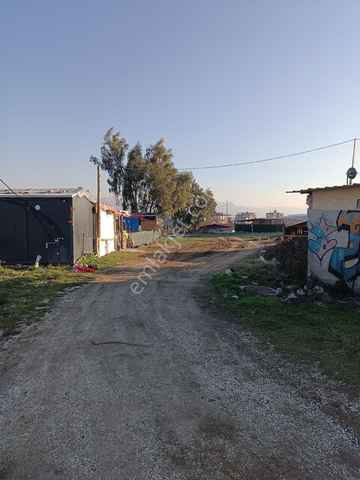 Yeni Otogar İkinci Şok Marketin Az İlerisinde - Görsel 2