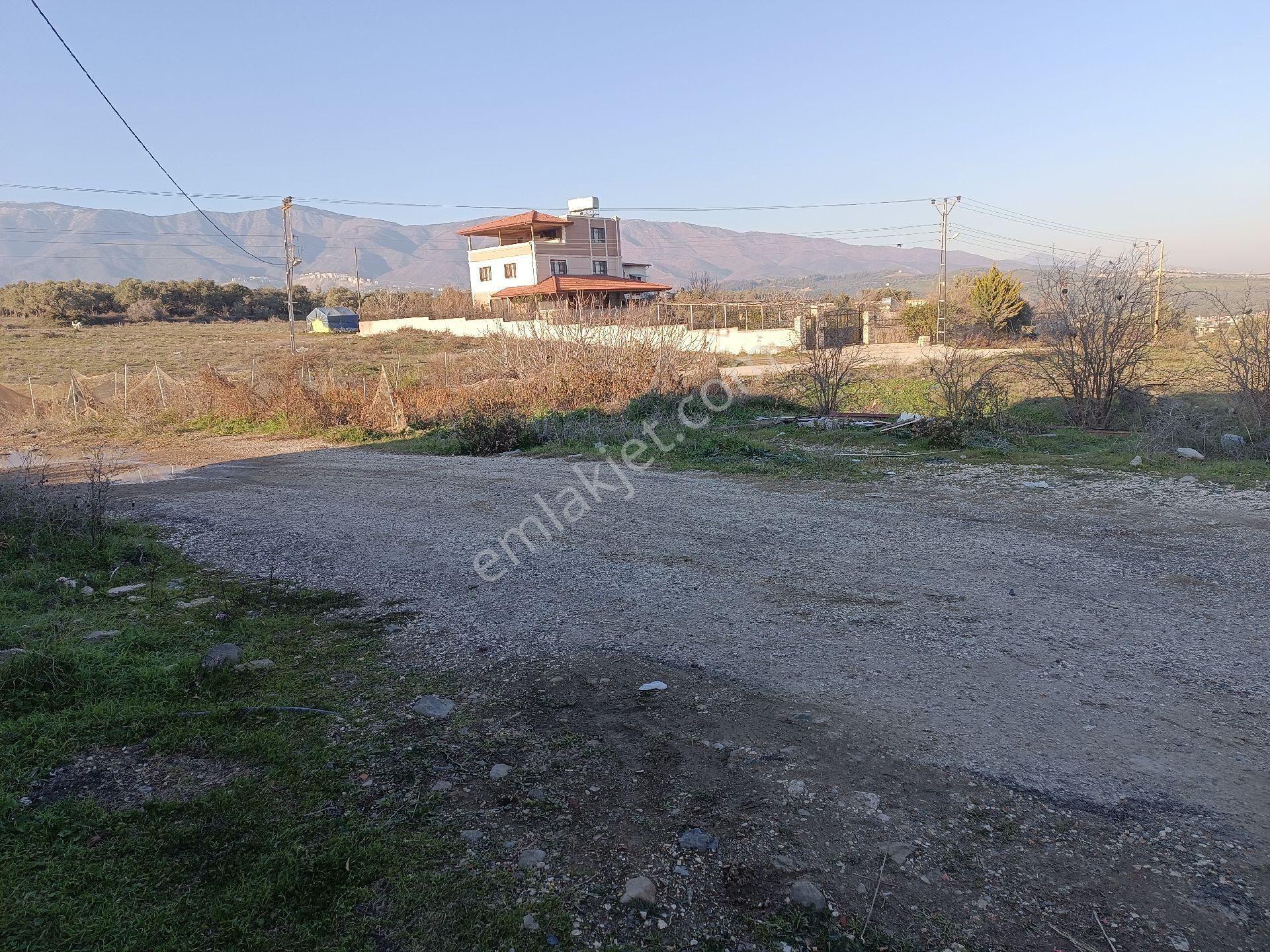 Yeni Otogar İkinci Şok Marketin Az İlerisinde - Görsel 19