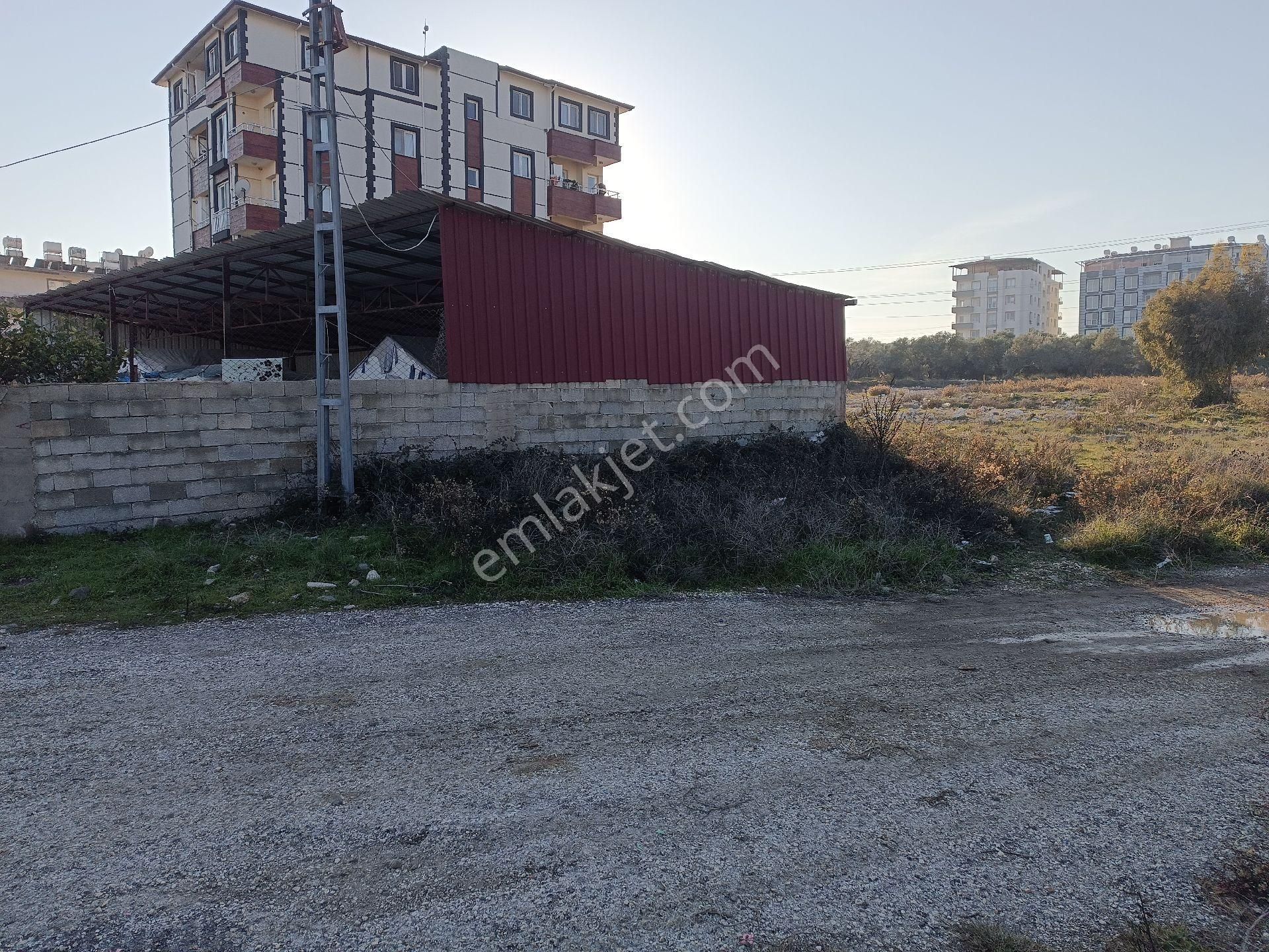 Yeni Otogar İkinci Şok Marketin Az İlerisinde - Görsel 17