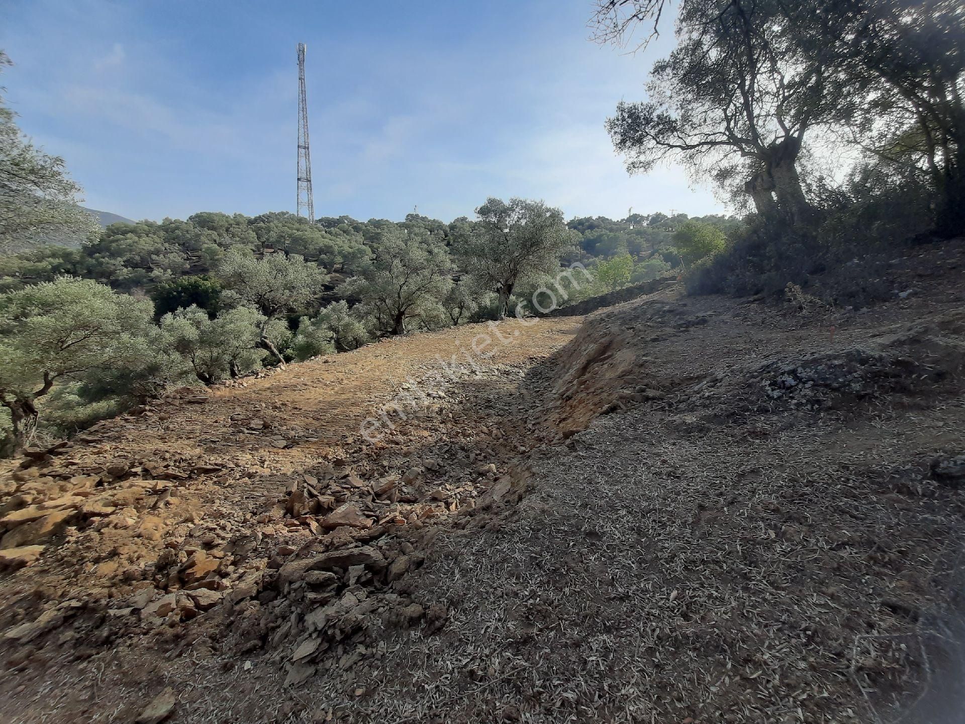 Yatırımlık Köyiçi Arsa - Görsel 4