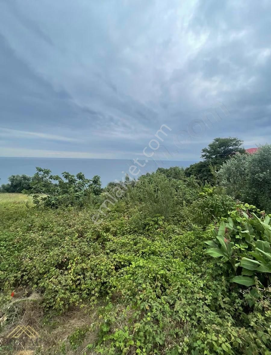 Salacıkta Muhteşem Deniz Manzaralı İmarlı Arsa - Görsel 4