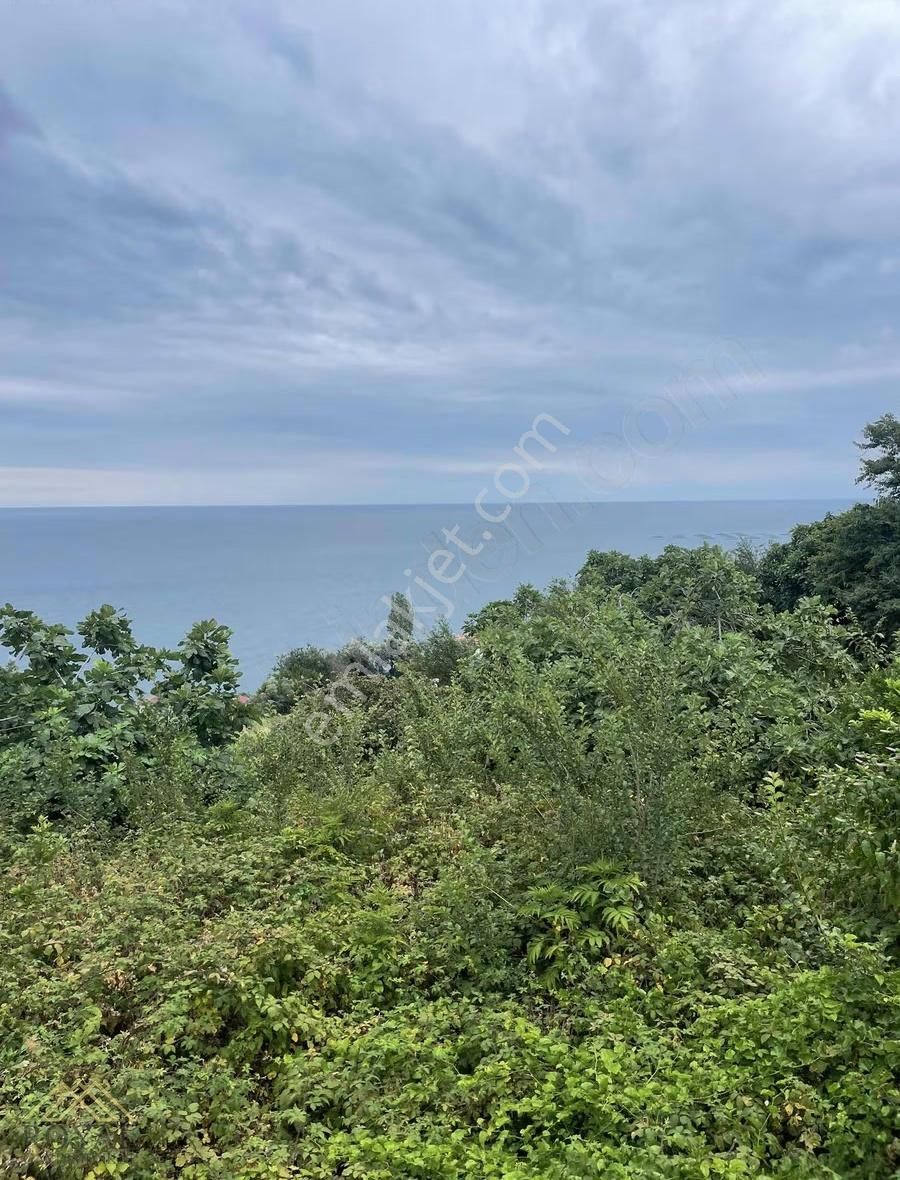 Salacıkta Muhteşem Deniz Manzaralı İmarlı Arsa - Görsel 7