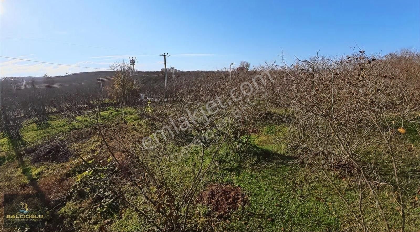 Balcıoğlundan Satılık Denizdağında Deniz Manzarlı 7.752 M2 Arsa