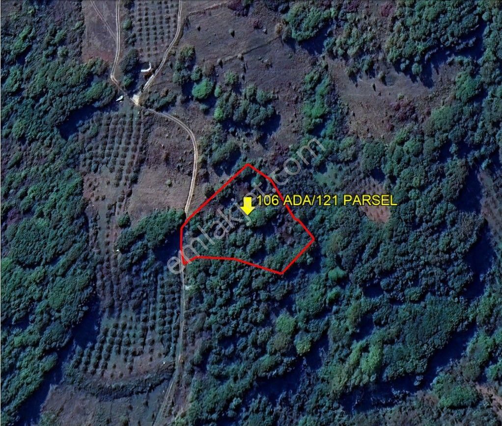 Kocaeli Kandıra 'da Satılık Arsa