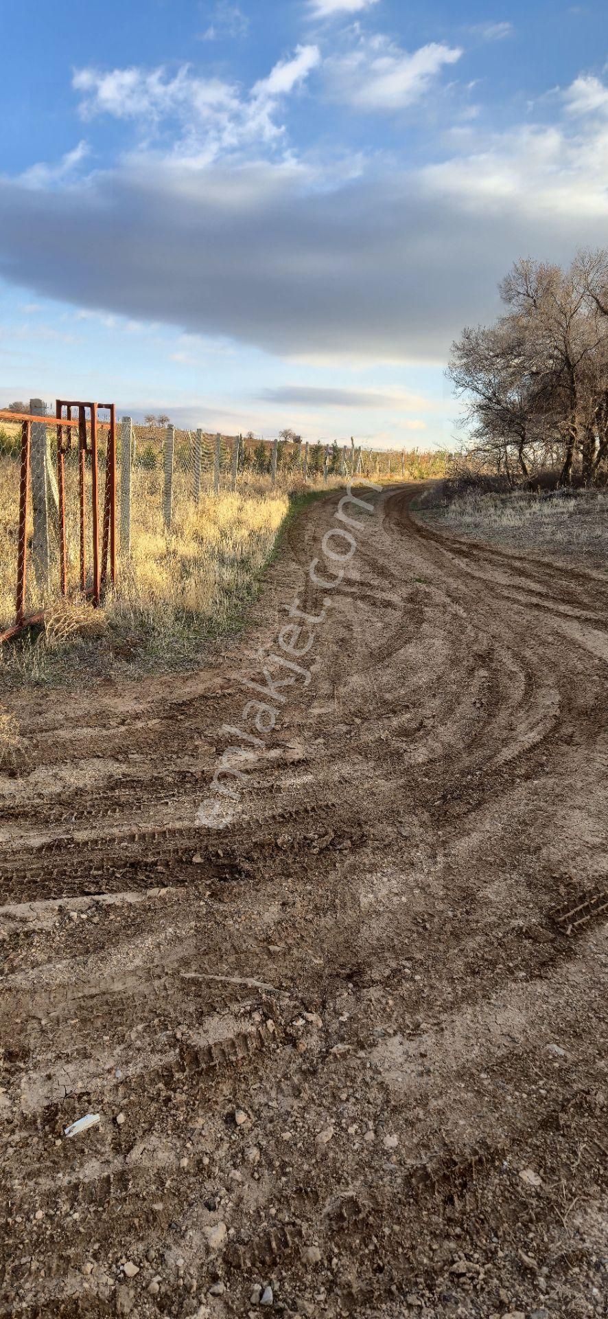 250 M² Bahçe Bu Fiyata Yok - Görsel 7