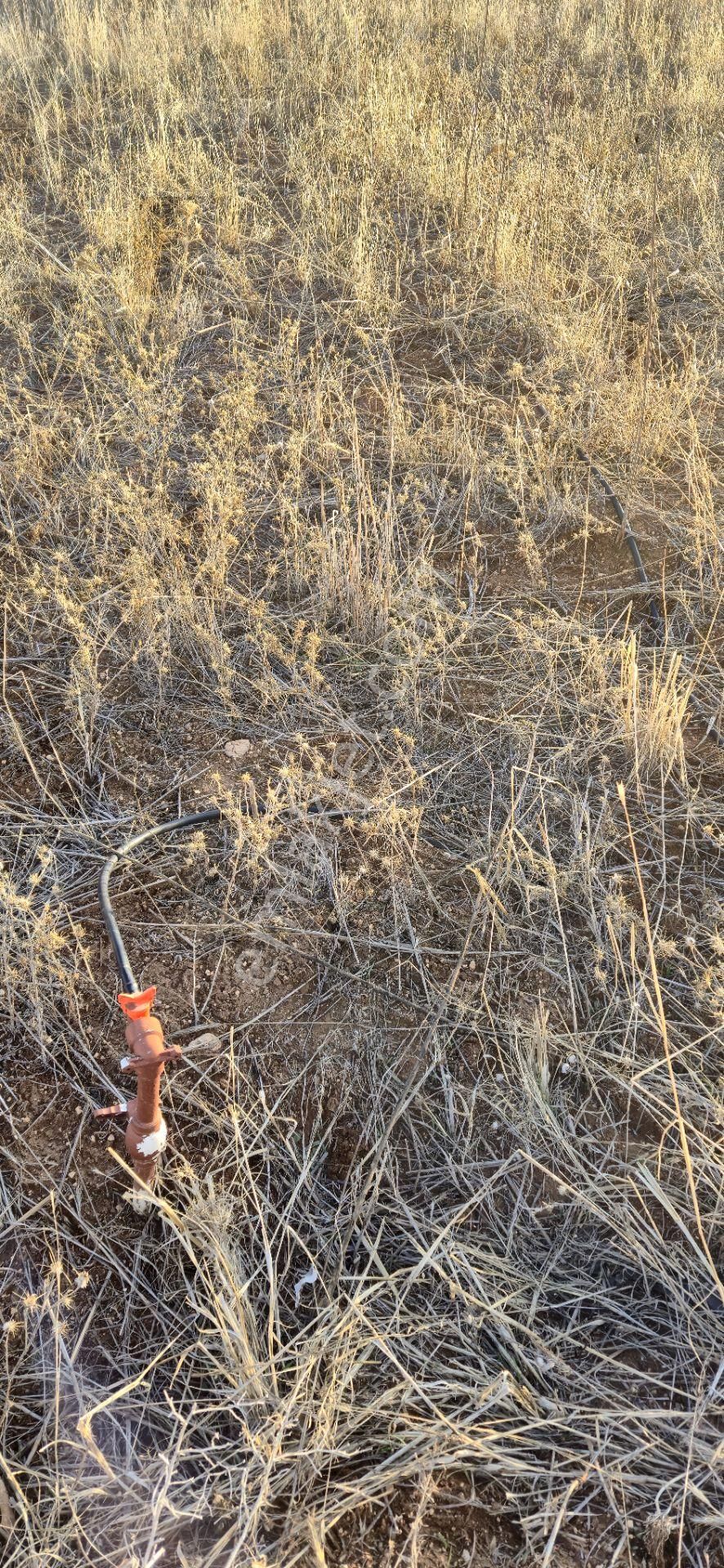 250 M² Bahçe Bu Fiyata Yok - Görsel 9