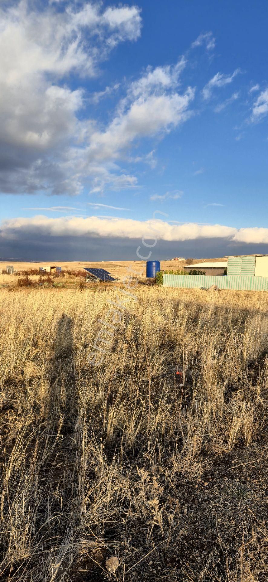 250 M² Bahçe Bu Fiyata Yok - Görsel 2