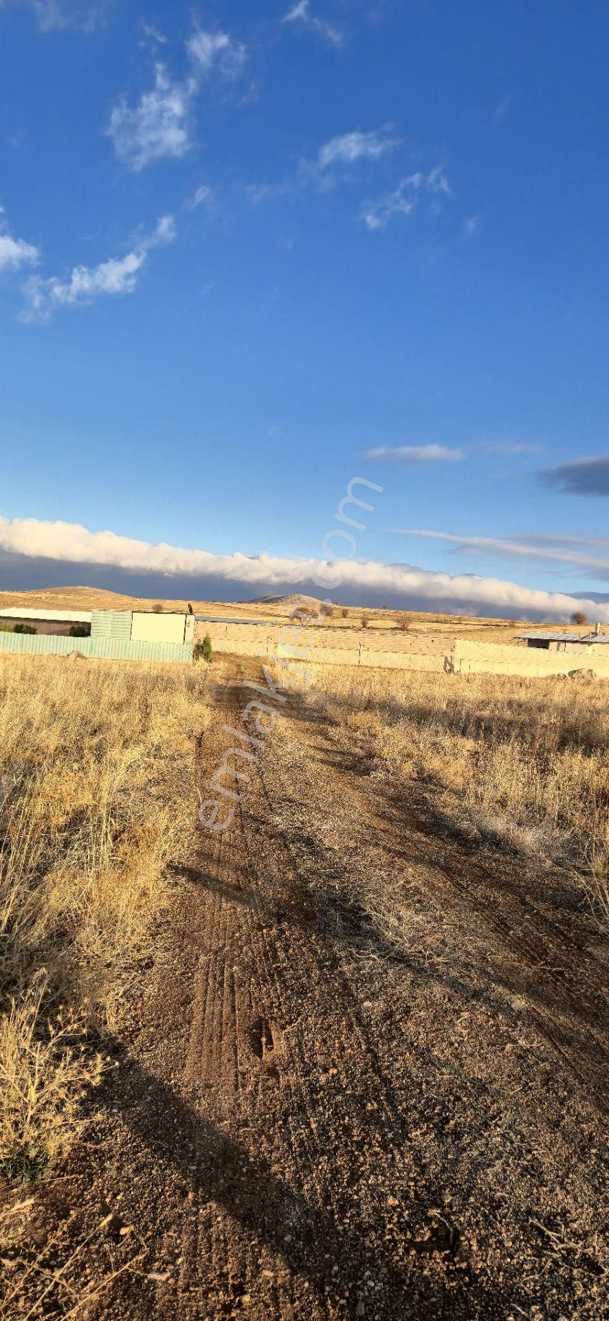 250 M² Bahçe Bu Fiyata Yok - Görsel 4