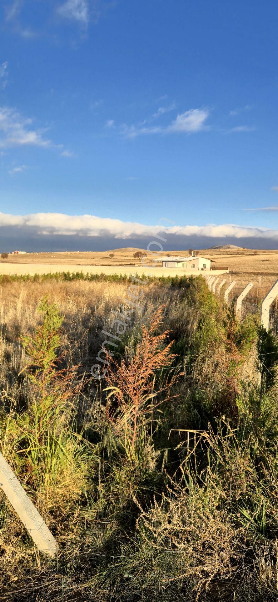 250 M² Bahçe Bu Fiyata Yok - Görsel 5