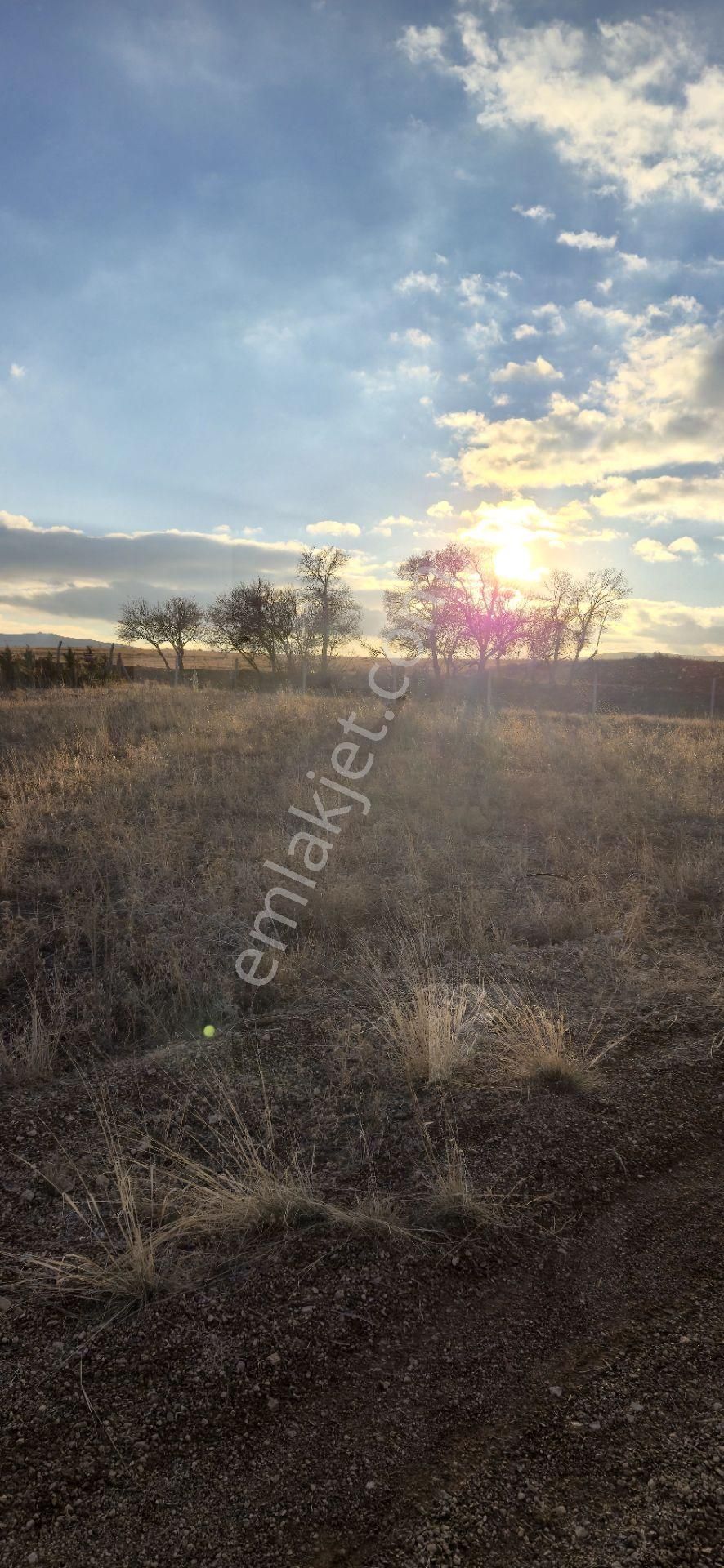 250 M² Bahçe Bu Fiyata Yok - Görsel 6