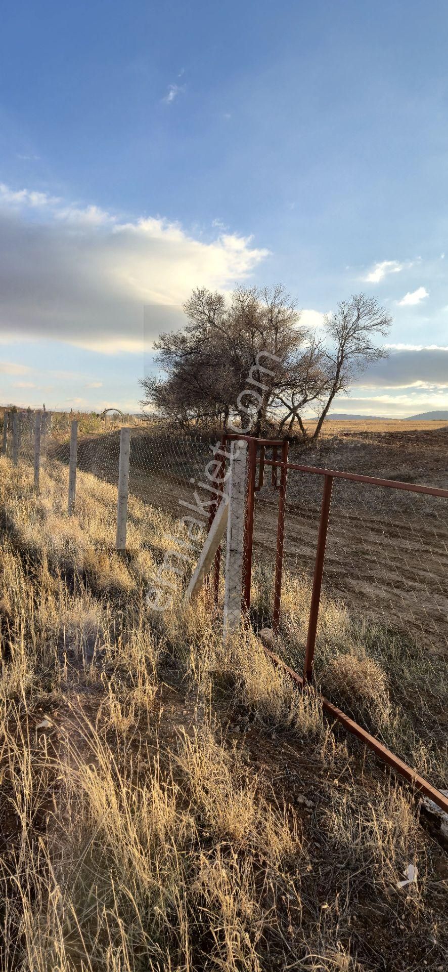 250 M² Bahçe Bu Fiyata Yok - Görsel 3