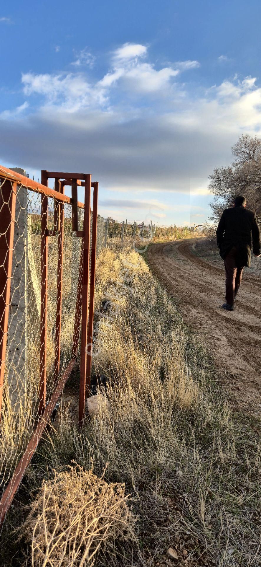 250 M² Bahçe Bu Fiyata Yok - Görsel 8