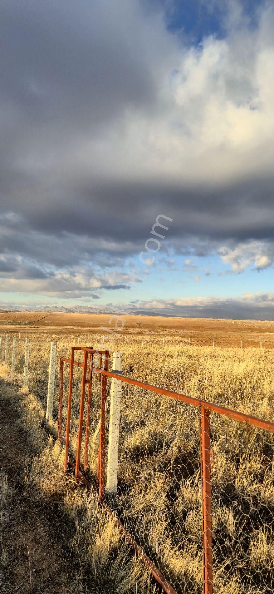 250 M² Bahçe Bu Fiyata Yok