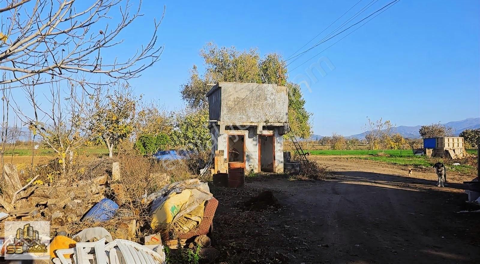 İzmir Tire Sb Emlak'tan Kireli Mahallesin'de Çiftlik - Görsel 19