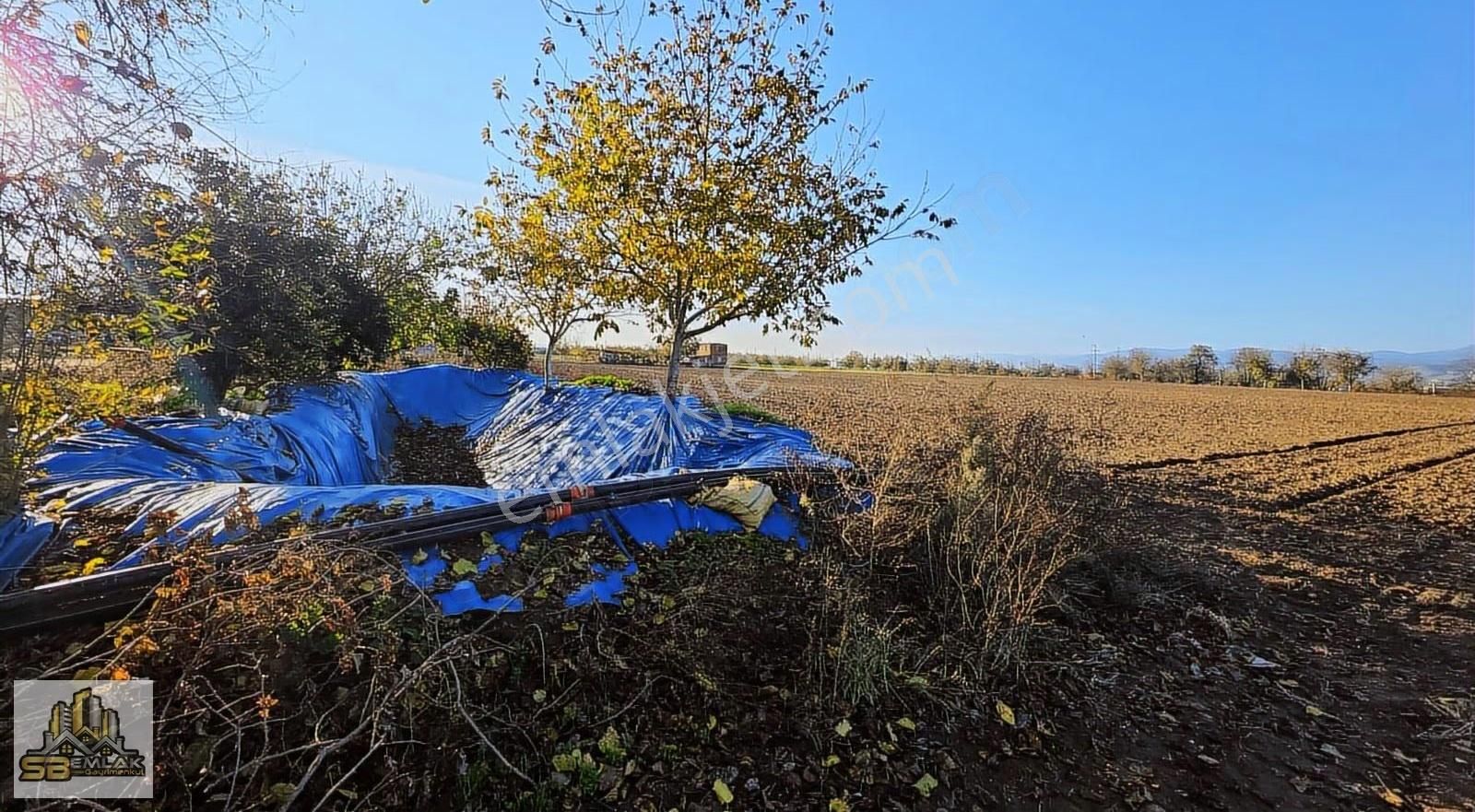 İzmir Tire Sb Emlak'tan Kireli Mahallesin'de Çiftlik - Görsel 13