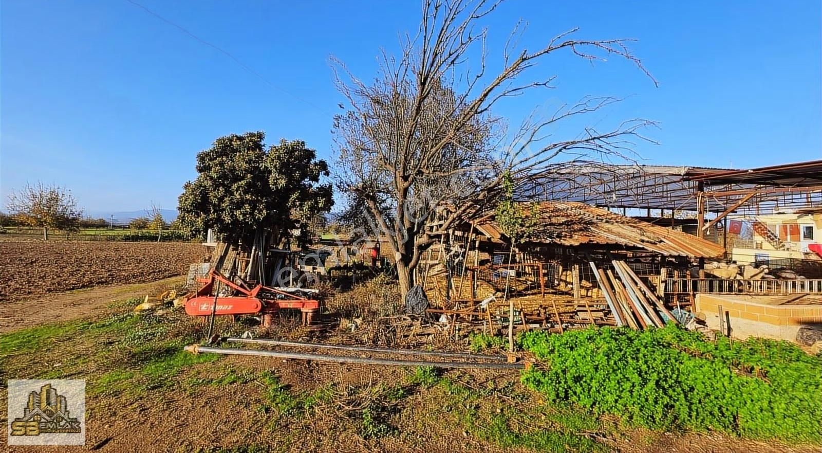 İzmir Tire Sb Emlak'tan Kireli Mahallesin'de Çiftlik - Görsel 4