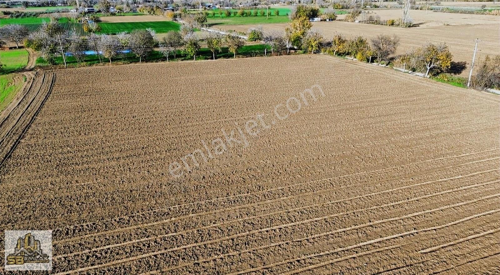İzmir Tire Sb Emlak'tan Kireli Mahallesin'de Çiftlik - Görsel 17