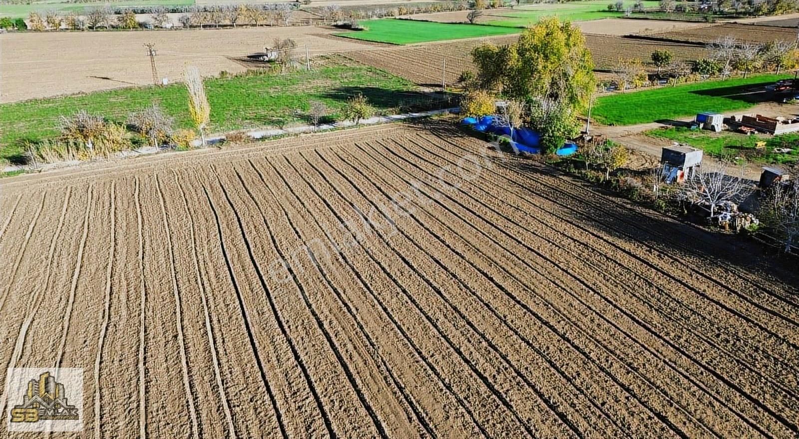 İzmir Tire Sb Emlak'tan Kireli Mahallesin'de Çiftlik - Görsel 16