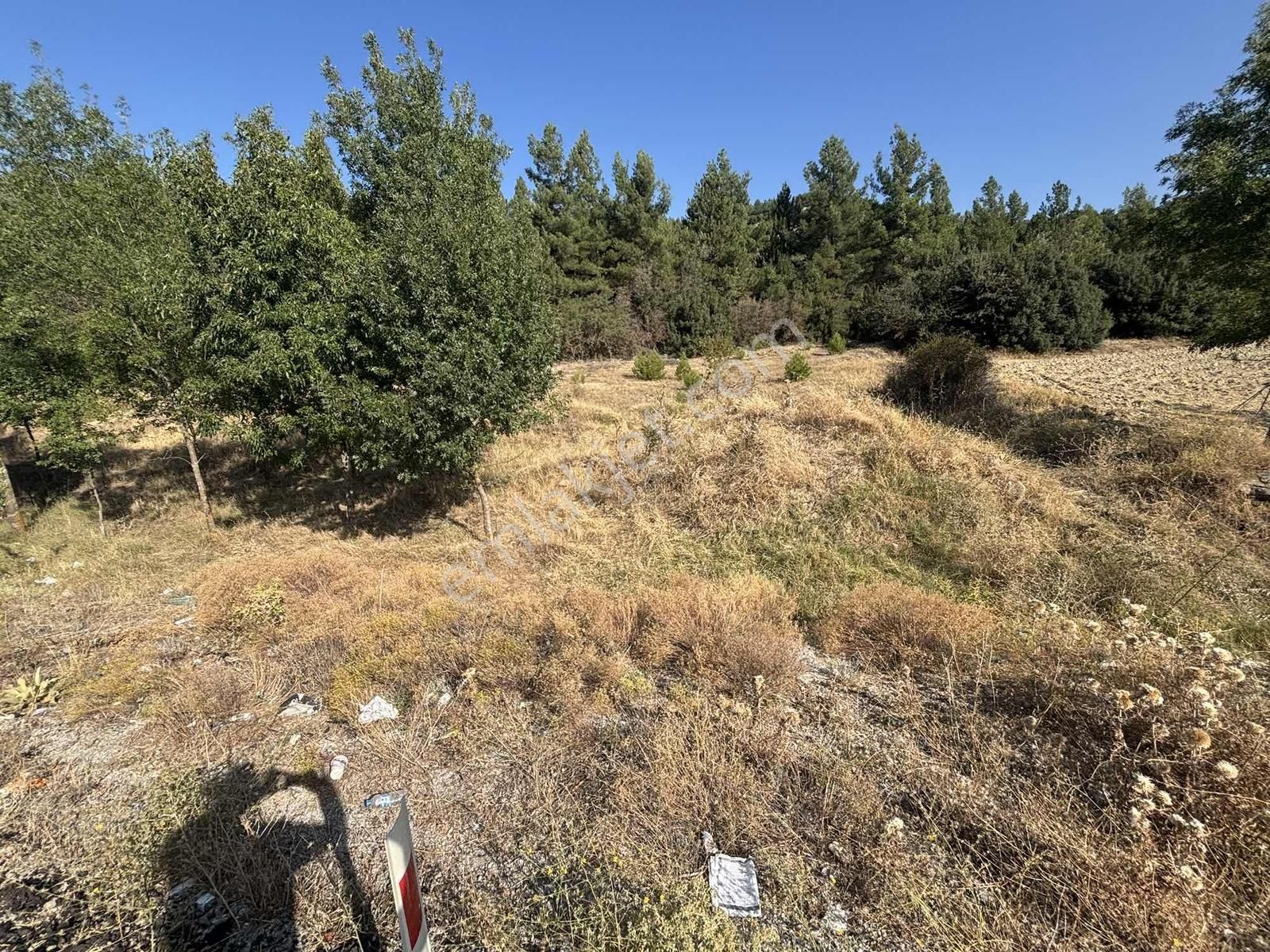 Muğla Yolu, Ana Yol Cepheli Cepheli - Görsel 3