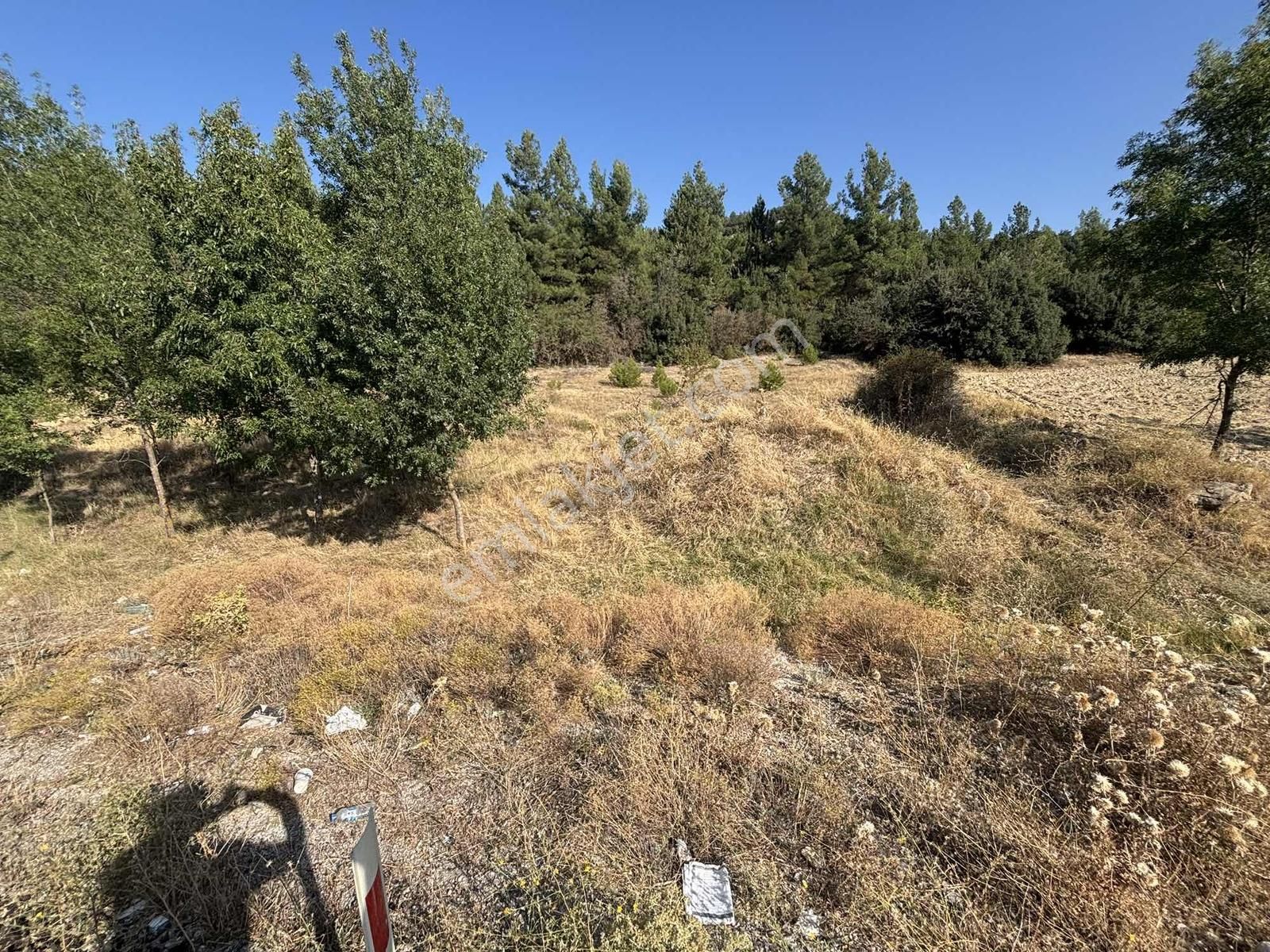 Muğla Yolu, Ana Yol Cepheli Cepheli - Görsel 5